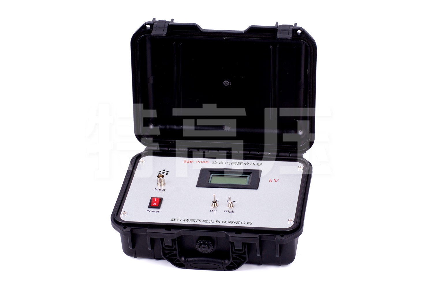 SGB系列 交直流數(shù)字高壓表