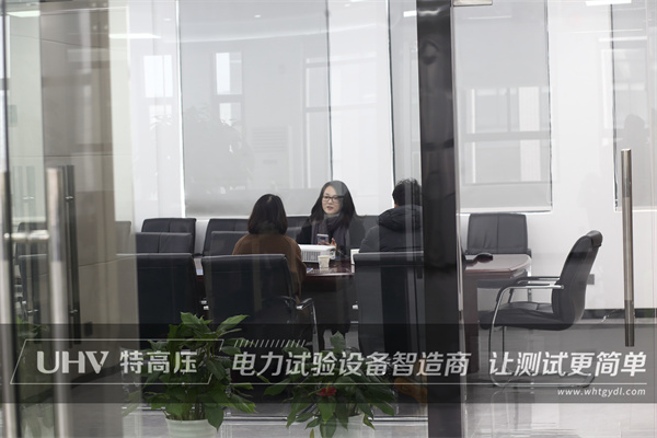 喜迎貴客臨門，浙江客戶來(lái)訪特高壓電力！(圖1)