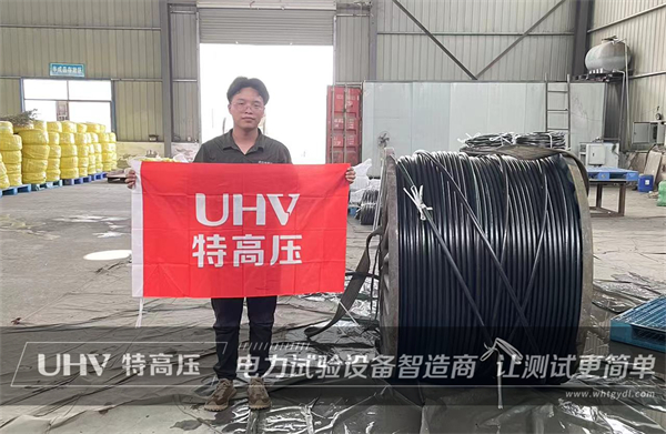 直擊售后現場！武漢特高壓售后團隊為河南客戶提供技術支持(圖1)